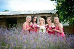 Amelia and Reuben's Wedding